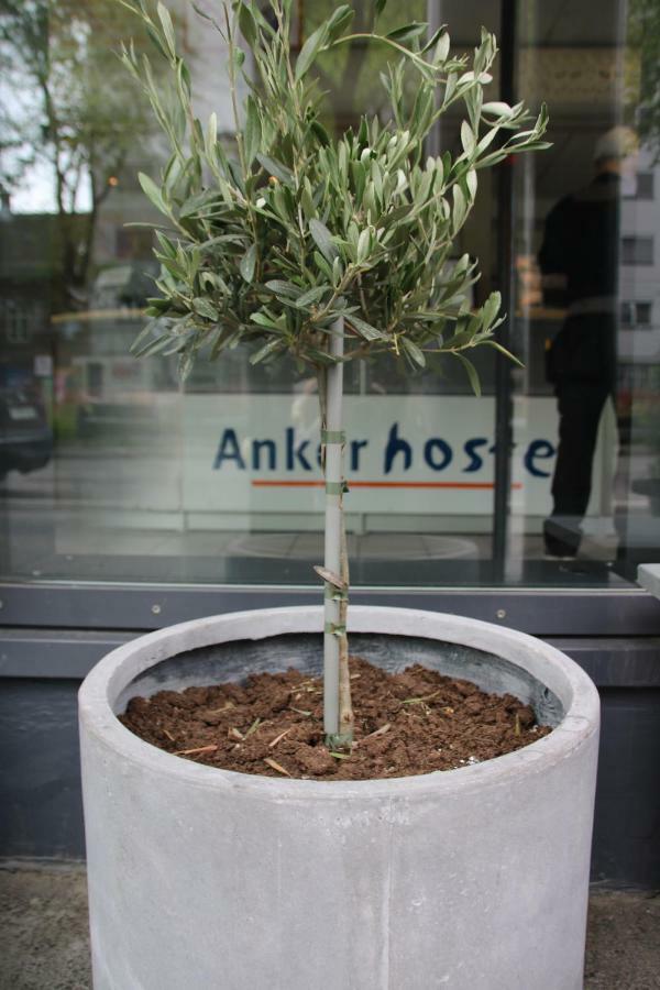 Anker Hostel Oslo Ngoại thất bức ảnh